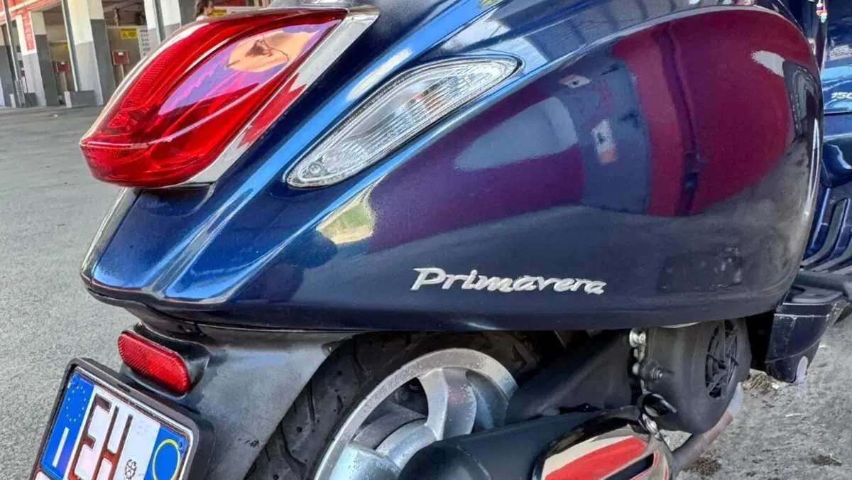 Vespa Primavera 150 3V ie (2014 - 16)  (15)