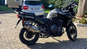 Triumph Tiger 1200 Desert Edition (2020)  (5)