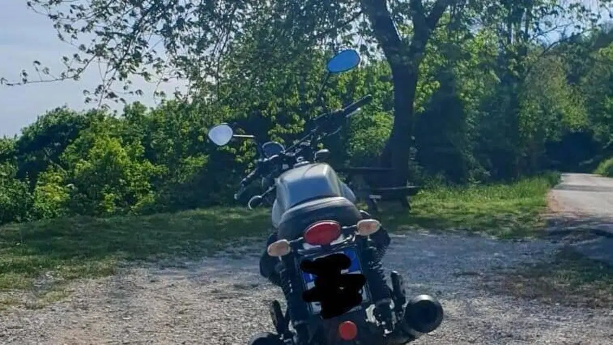 Moto Guzzi V7 III Rough (2018 - 20)  (6)