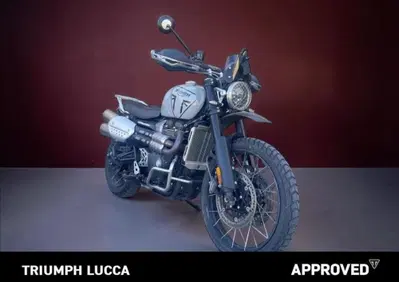 Triumph Scrambler 1200 X (2024 - 26) - Annuncio 10039381
