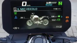 Bmw F 900 R (2021 - 24)  (6)