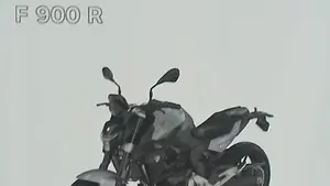 Bmw F 900 R (2021 - 24)  (16)