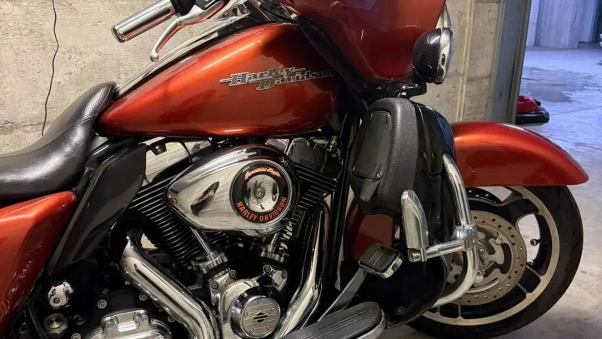 Harley-Davidson 1690 Street Glide (2011 - 13) - FLHX  (14)