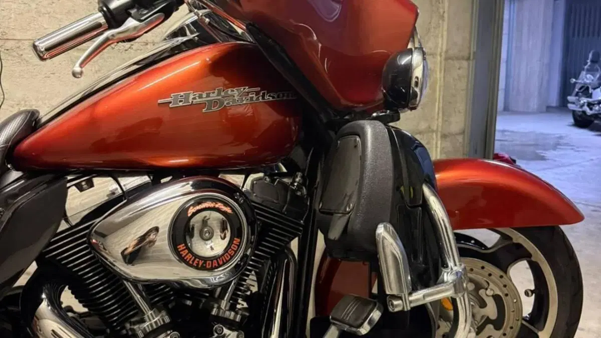Harley-Davidson 1690 Street Glide (2011 - 13) - FLHX  (15)