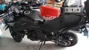 Kawasaki Versys 650 (2021 - 24)  (4)