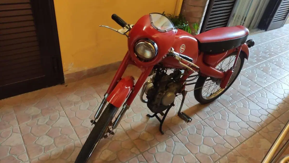 Motom   (6)