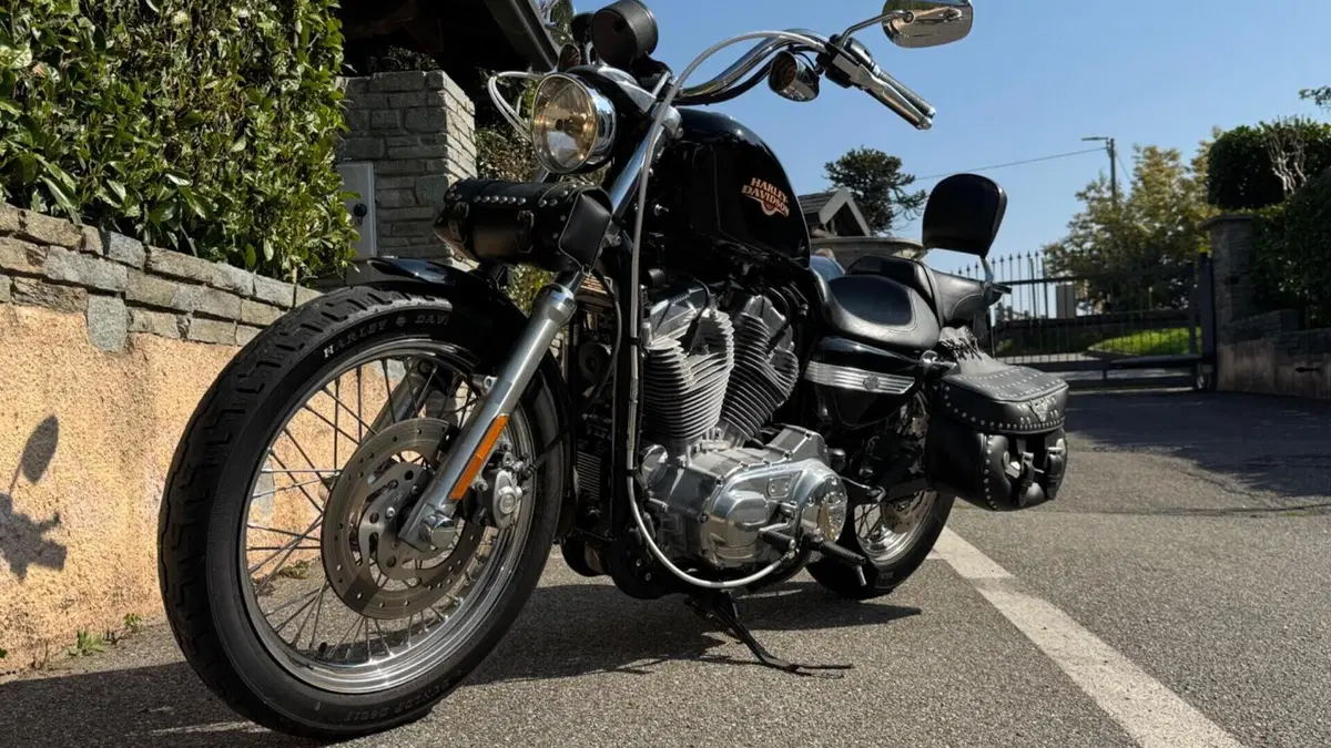 Harley-Davidson 883 Low (2008 - 12) - XL 883L  (2)