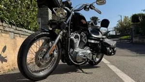 Harley-Davidson 883 Low (2008 - 12) - XL 883L  (2)