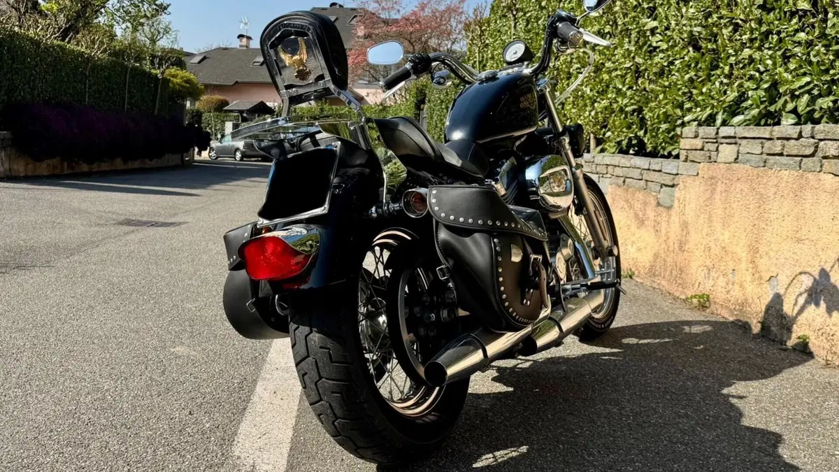 Harley-Davidson 883 Low (2008 - 12) - XL 883L  (3)