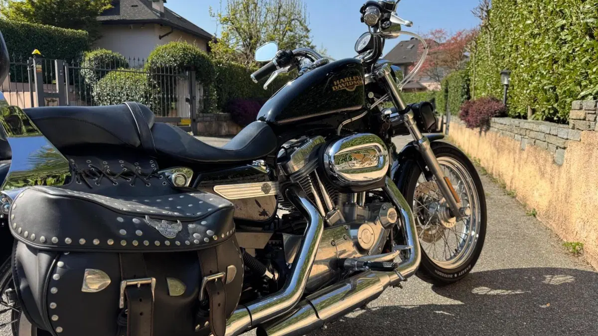 Harley-Davidson 883 Low (2008 - 12) - XL 883L  (4)