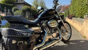 Harley-Davidson 883 Low (2008 - 12) - XL 883L  (4)
