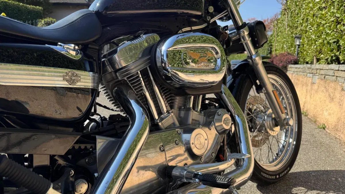 Harley-Davidson 883 Low (2008 - 12) - XL 883L  (5)
