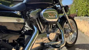 Harley-Davidson 883 Low (2008 - 12) - XL 883L  (5)