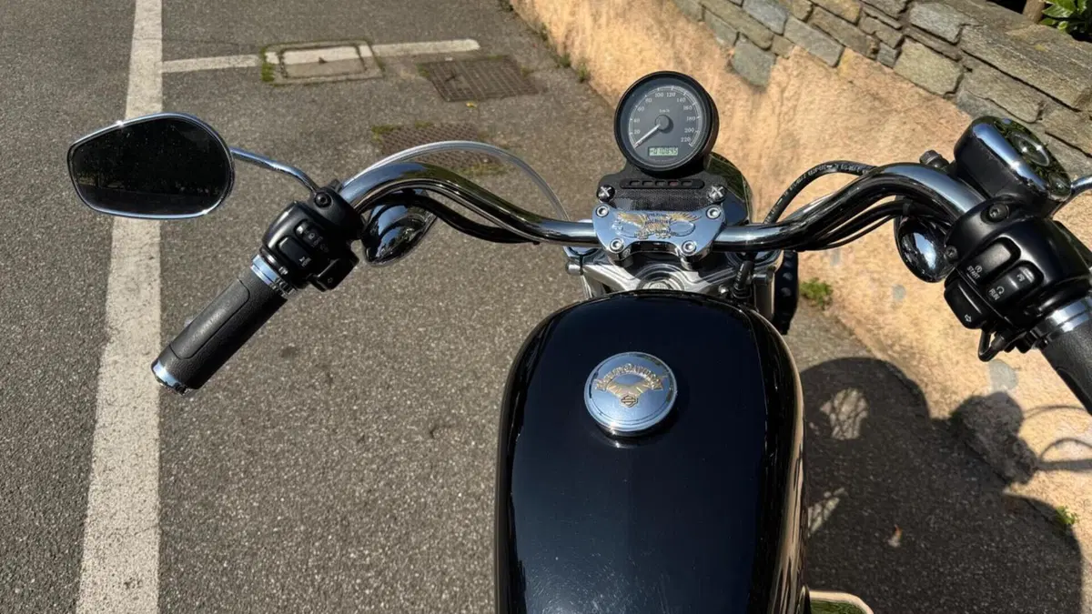 Harley-Davidson 883 Low (2008 - 12) - XL 883L  (6)
