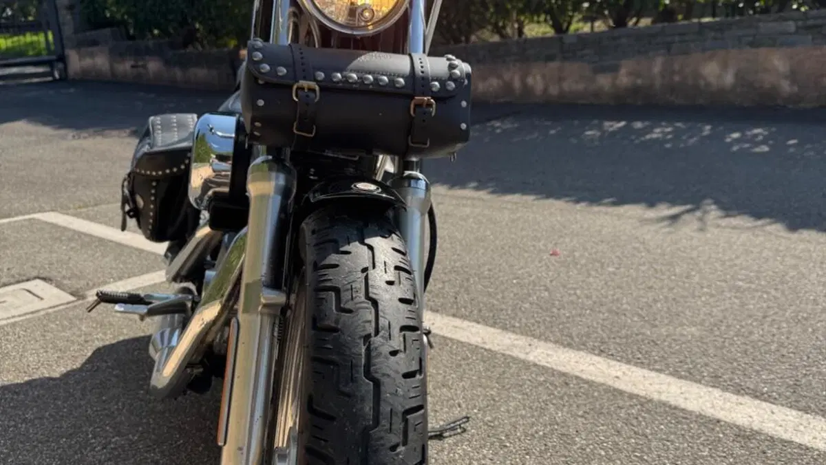 Harley-Davidson 883 Low (2008 - 12) - XL 883L  (7)