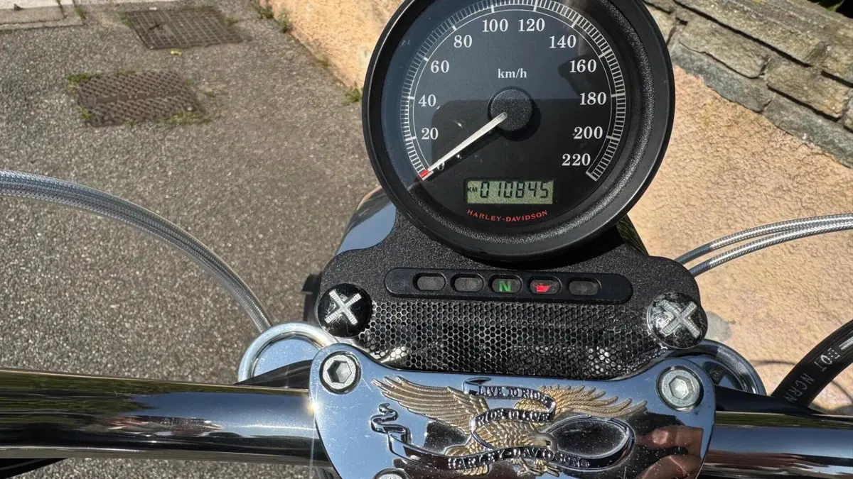Harley-Davidson 883 Low (2008 - 12) - XL 883L  (8)