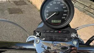 Harley-Davidson 883 Low (2008 - 12) - XL 883L  (8)