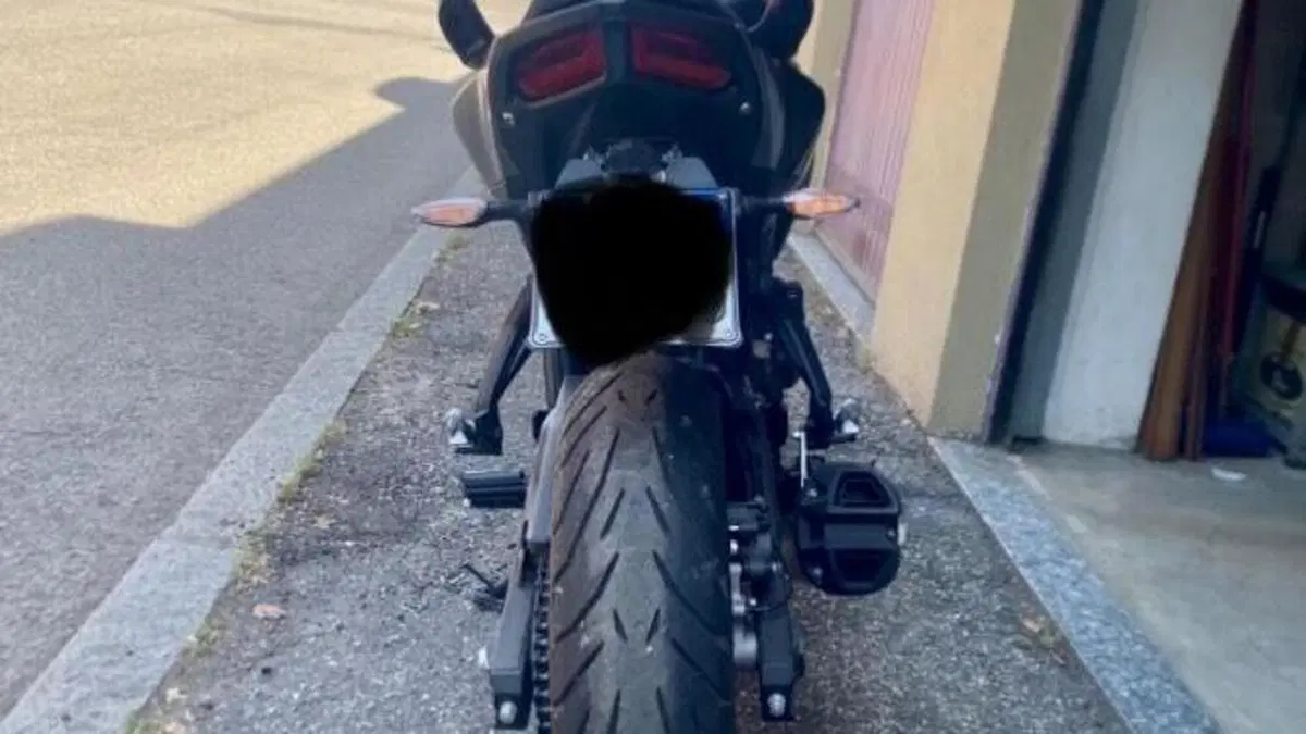 Voge Brivido 500R (2021 - 24)  (4)