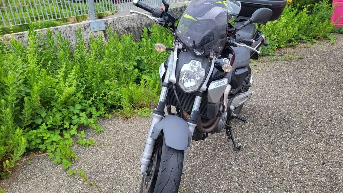 Yamaha MT-03 (2006 - 14)  (5)