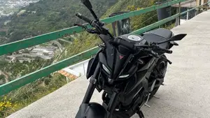 Yamaha MT-125 ABS (2020)  (8)