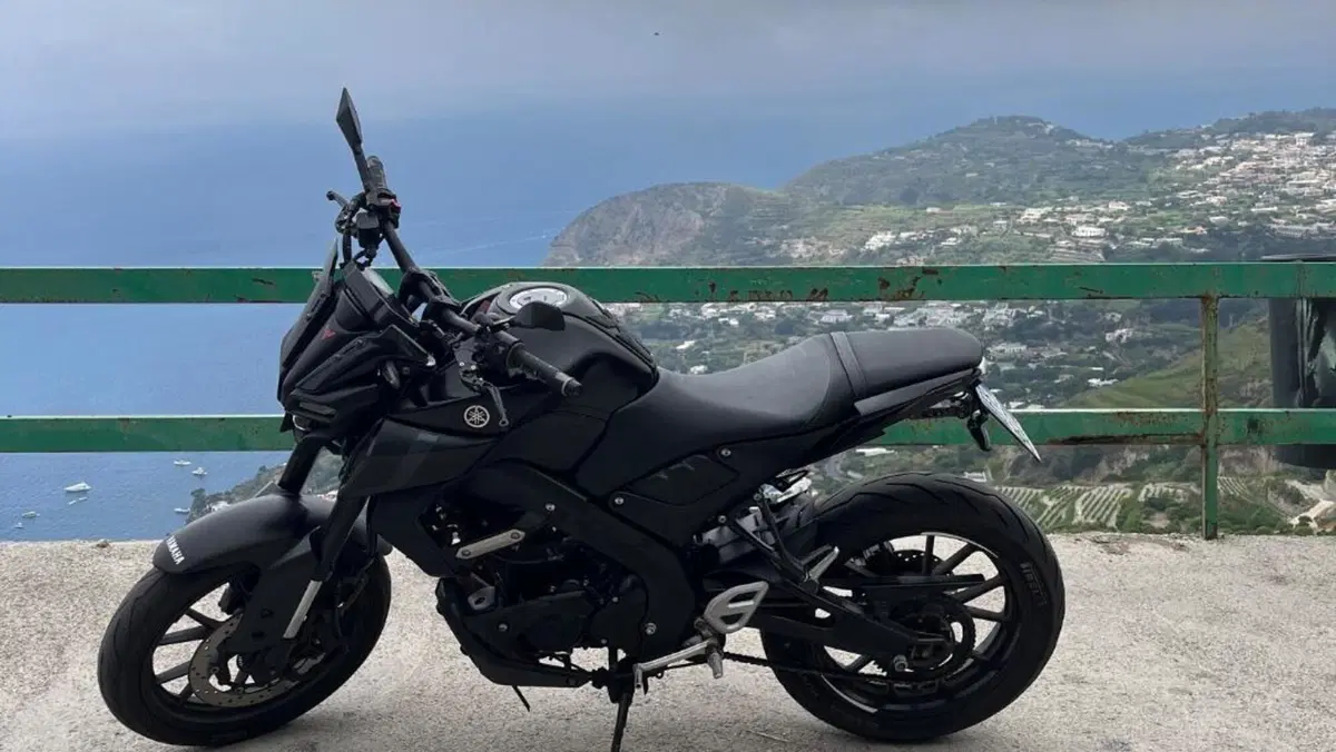 Yamaha MT-125 ABS (2020)  (10)