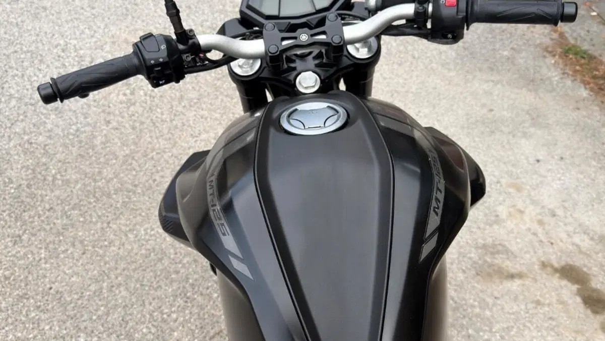 Yamaha MT-125 ABS (2020)  (7)