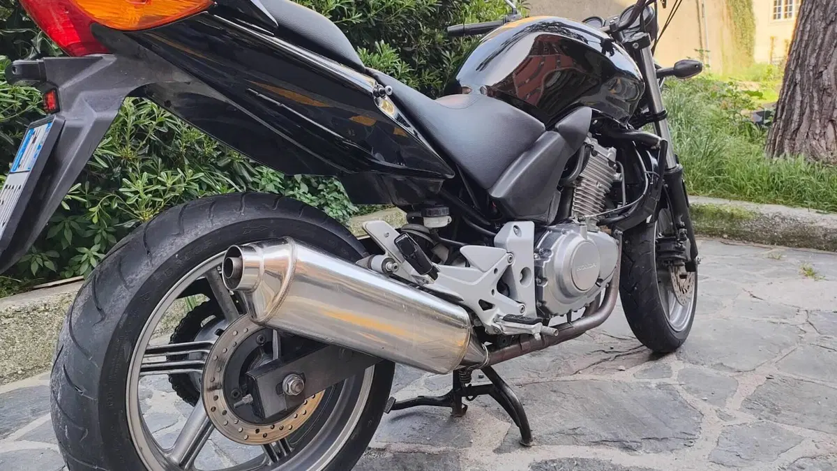 Honda   (6)