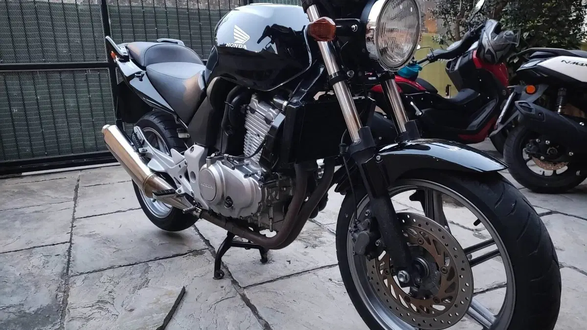 Honda   (13)
