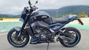 Yamaha MT-09 (2021 - 23) 