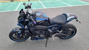 Yamaha MT-09 (2021 - 23)  (6)