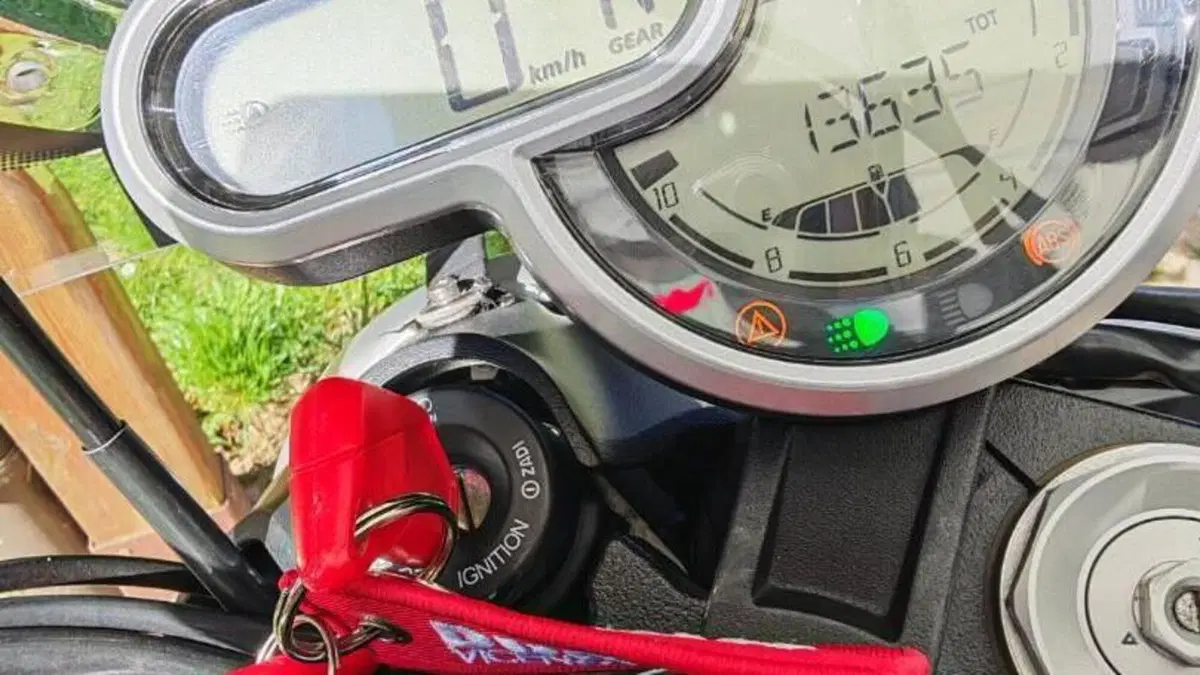 Ducati Scrambler 1100 Special (2018 - 20)  (4)