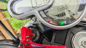 Ducati Scrambler 1100 Special (2018 - 20)  (4)
