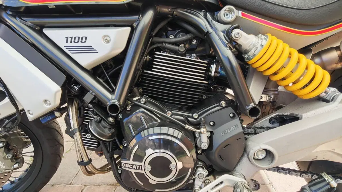 Ducati Scrambler 1100 Special (2018 - 20)  (7)