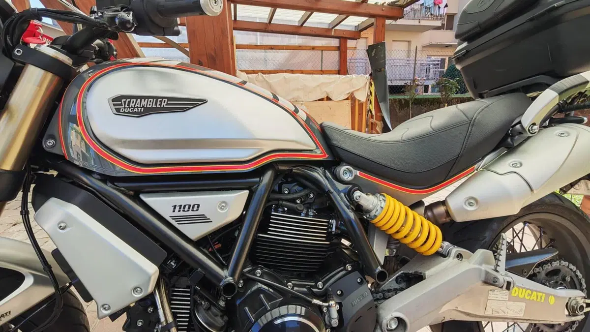 Ducati Scrambler 1100 Special (2018 - 20)  (14)
