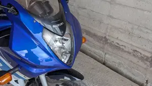 Suzuki GS 500 F (2004 - 06)  (11)