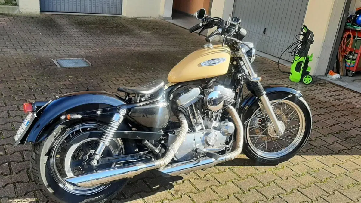 Harley-Davidson 883 Low (2006 - 07) - XL 883L  (2)