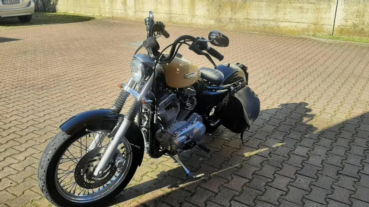 Harley-Davidson 883 Low (2006 - 07) - XL 883L  (3)