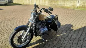 Harley-Davidson 883 Low (2006 - 07) - XL 883L  (3)