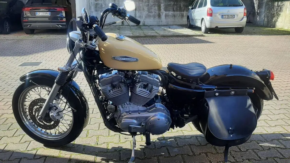 Harley-Davidson 883 Low (2006 - 07) - XL 883L  (4)