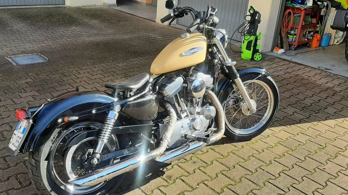 Harley-Davidson 883 Low (2006 - 07) - XL 883L  (5)