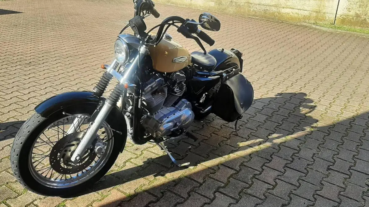 Harley-Davidson 883 Low (2006 - 07) - XL 883L  (6)