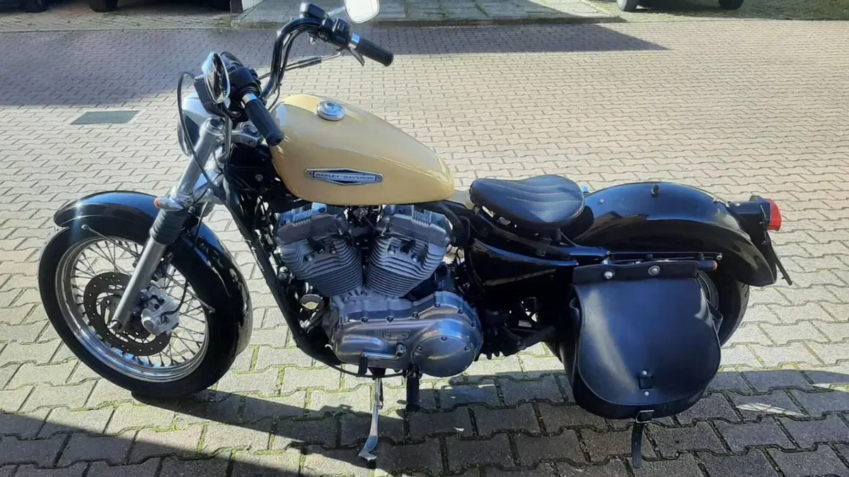 Harley-Davidson 883 Low (2006 - 07) - XL 883L  (7)