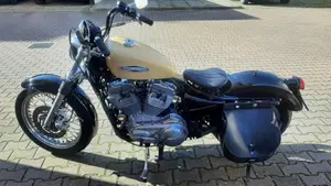 Harley-Davidson 883 Low (2006 - 07) - XL 883L  (7)