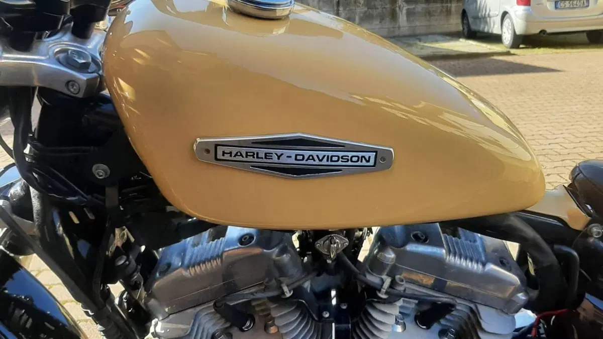 Harley-Davidson 883 Low (2006 - 07) - XL 883L  (8)