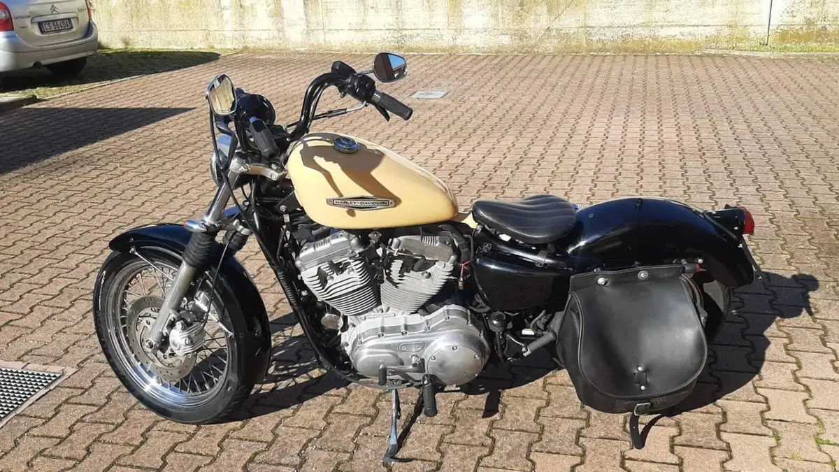 Harley-Davidson 883 Low (2006 - 07) - XL 883L  (10)