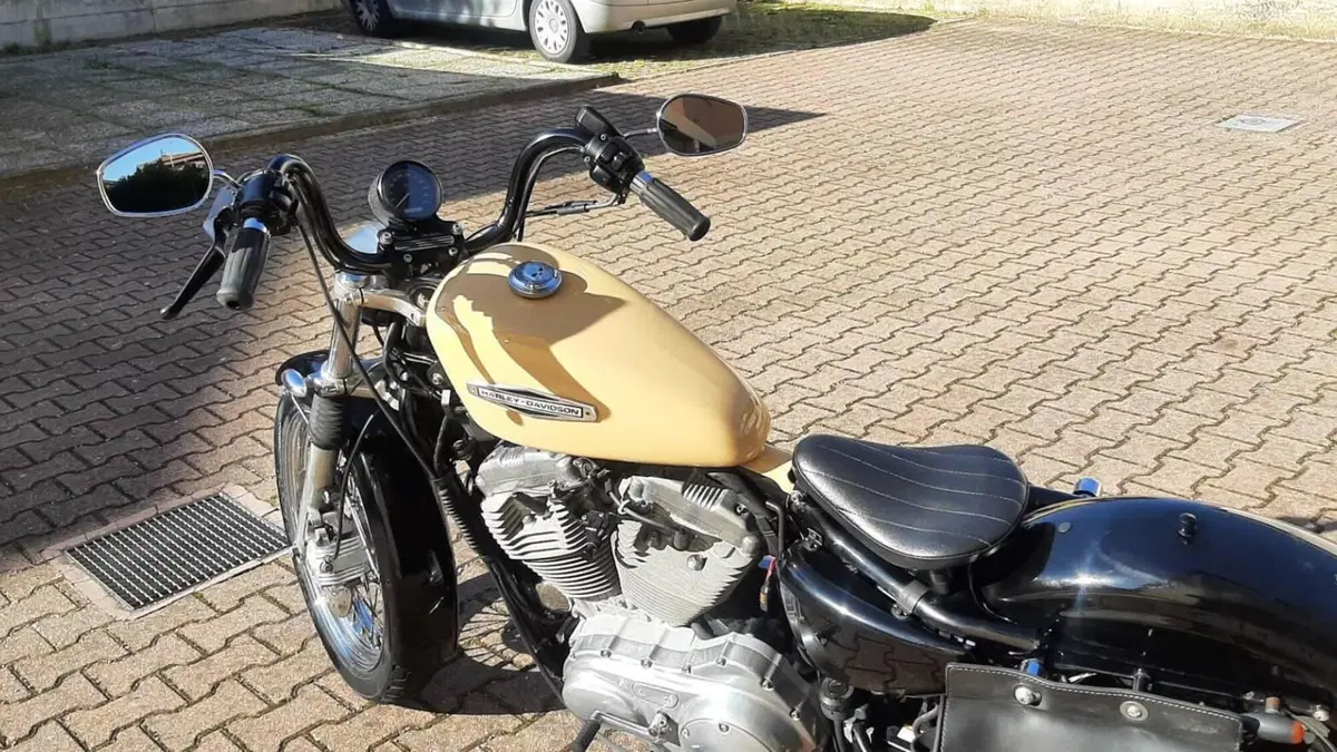Harley-Davidson 883 Low (2006 - 07) - XL 883L  (11)