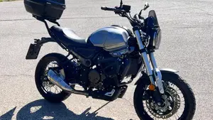 Voge Trofeo 300ACX Scrambler (2021 - 26)  (3)