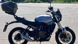 Voge Trofeo 300ACX Scrambler (2021 - 26)  (4)