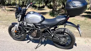 Voge Trofeo 300ACX Scrambler (2021 - 26)  (8)