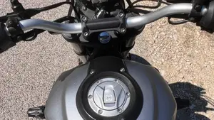 Voge Trofeo 300ACX Scrambler (2021 - 26)  (10)